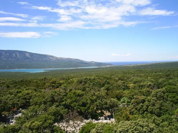 OTOK CRES- POLJOPRIVREDNO ZEMLJIŠTE 106.000 m2