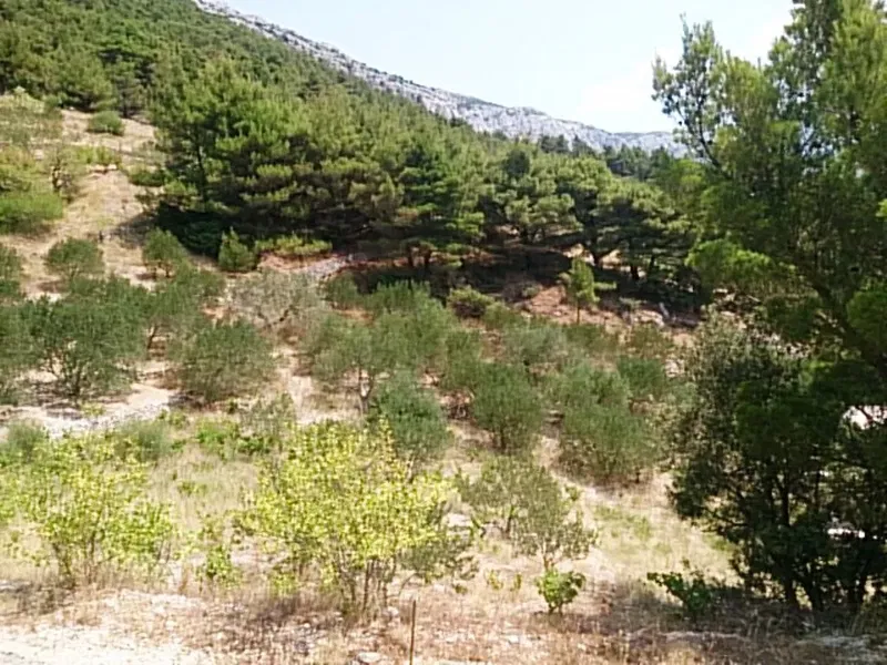 Terreno Omiš – 3