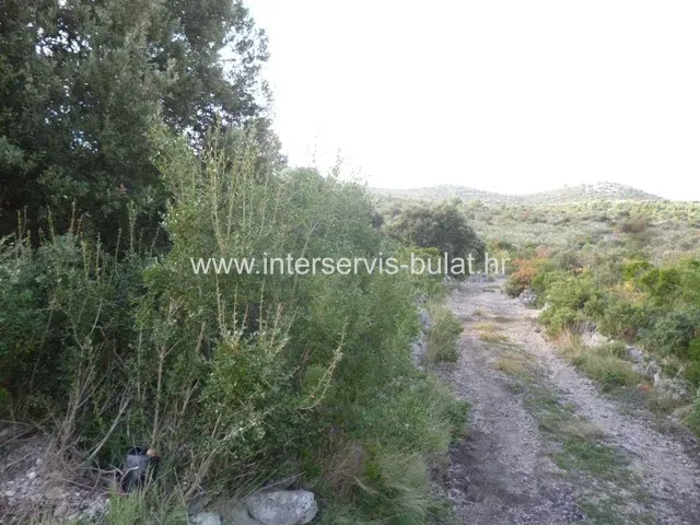 .::: Agricultural land of 6.316sqm near Šibenik :::. – 3