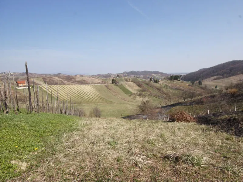 Land Molvice – 2
