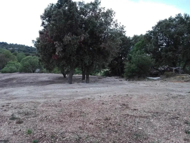 AN EXCELLENT BUILDING PLOT 2.000 sm WITH SEA VIEWS – 2