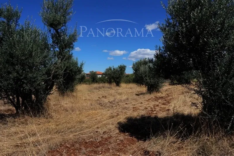 Land Galižana – 2