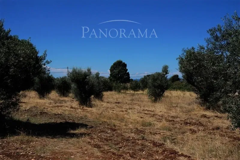 Land Galižana – 3