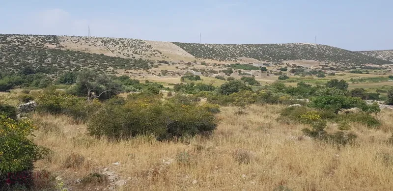 Land Kolan – 2