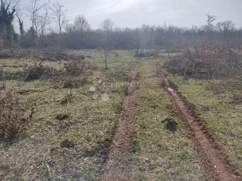Land Baderna, Poreč, 36.576m2 – 2