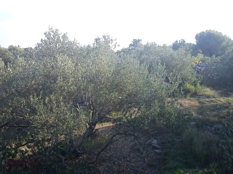 Land Jezera – 3