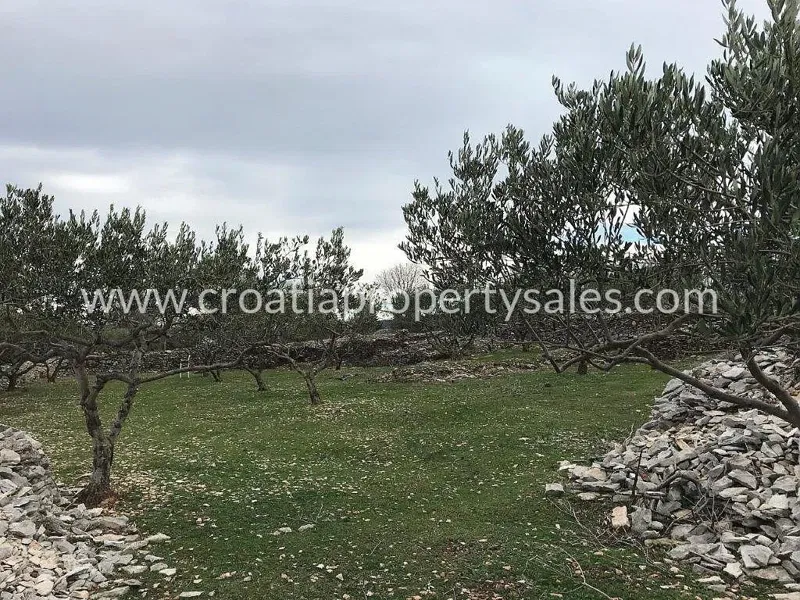 Terreno Brač – 2