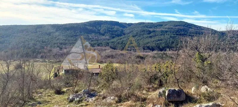 Telek Šušnjevica – 2