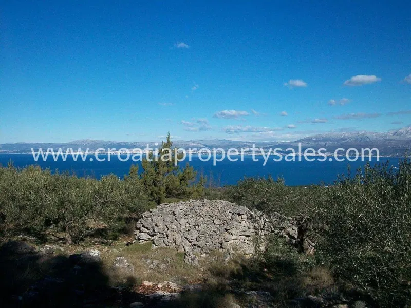 Brac, agricultural land for sale, 330.939 € – 3