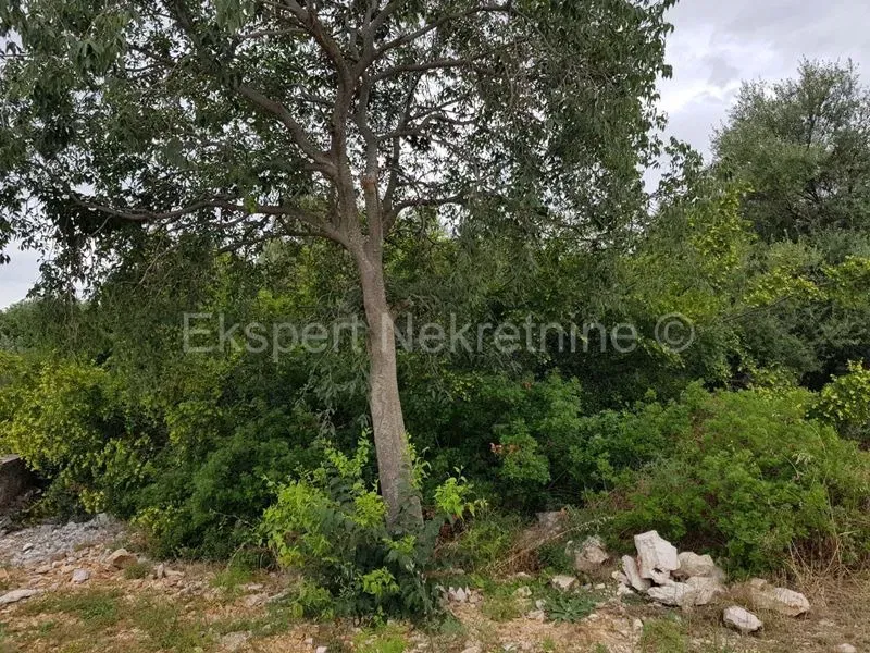 Čiovo, Okrug Donji, terreno edificabile 2872 m2, posizione vantaggiosa e tranquilla – 3