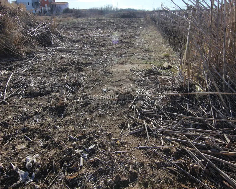 Land Nin – 3
