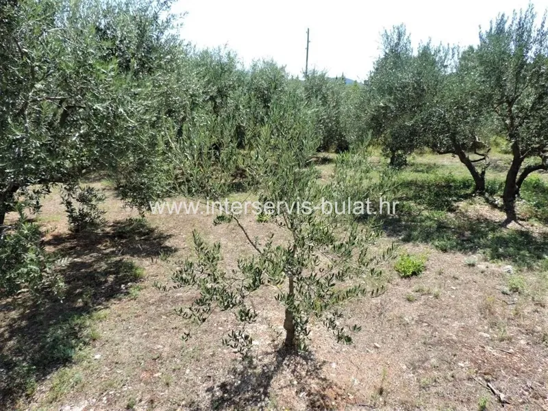 Pozemok Bilice – 3