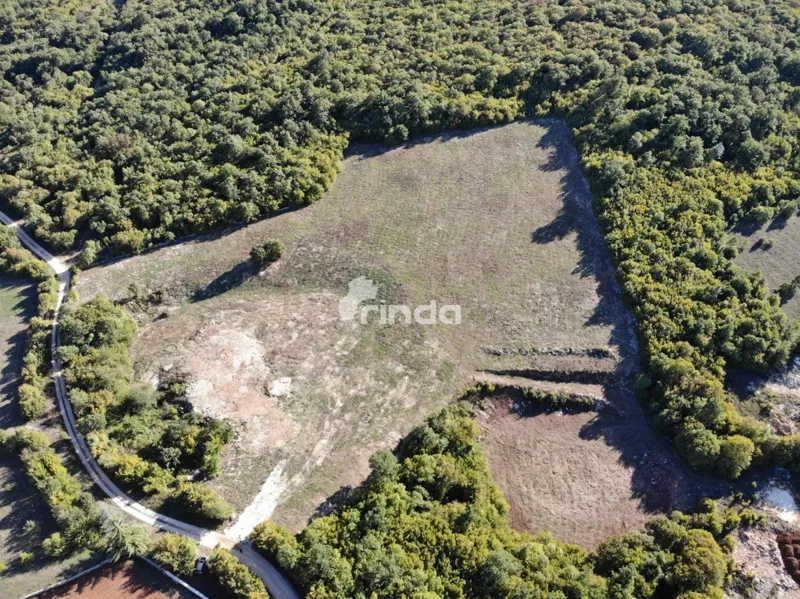 Grande complesso di terreni agricoli vicino a Rovigno - Valle di Nohar - Kurili - 20,667m2 – 2