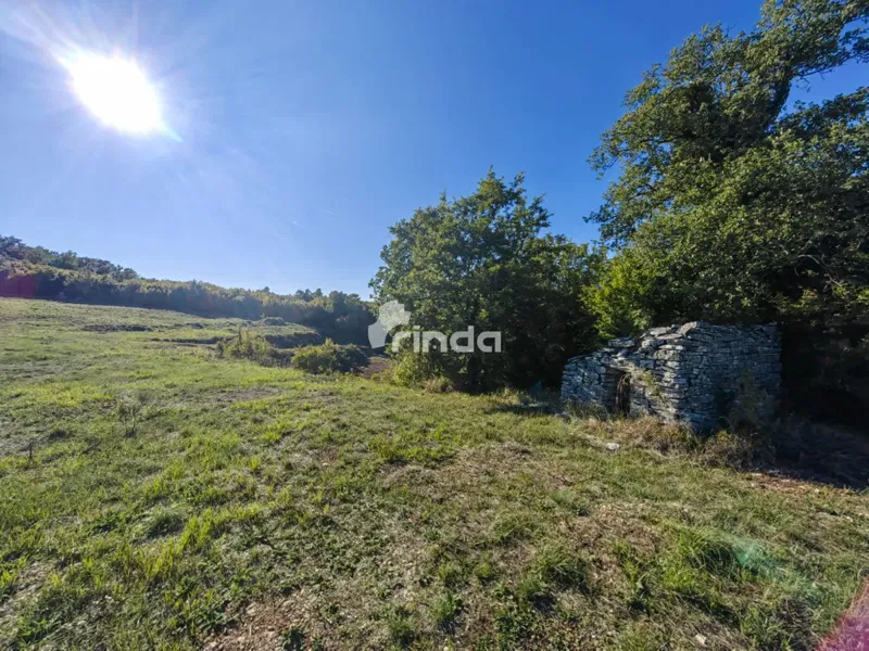 Grande complesso di terreni agricoli vicino a Rovigno - Valle di Nohar - Kurili - 20,667m2 – 3