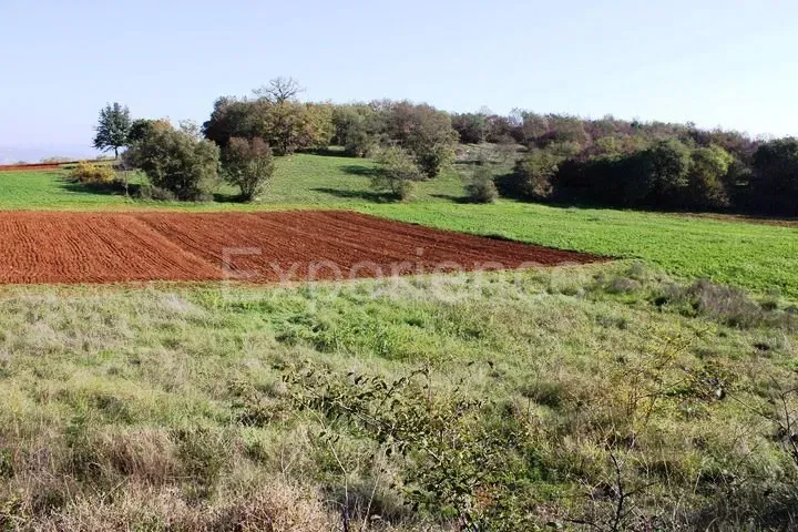 Zona di Montona: terreno agricolo ai margini dell'AREA EDIFICABILE – 2