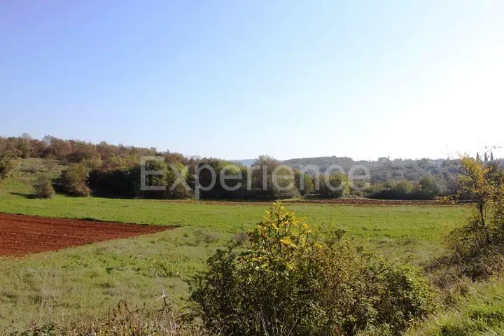 Zona di Montona: terreno agricolo ai margini dell'AREA EDIFICABILE – 3