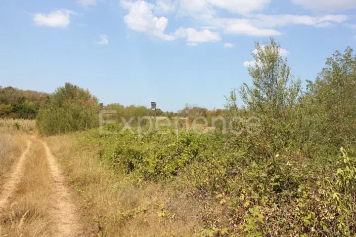 Kaštelir – terreno agricolo, superficie 13.080 m² – 2