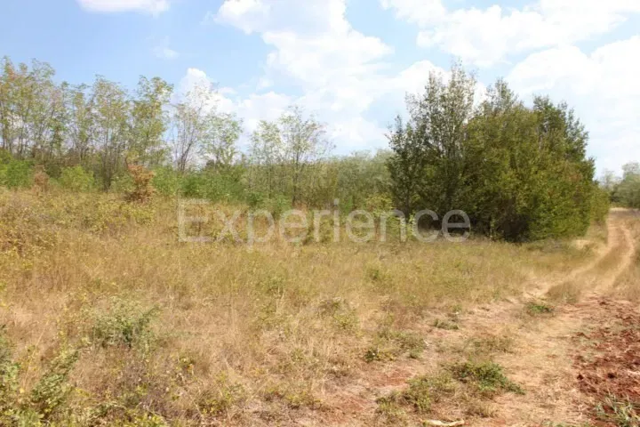 Kaštelir – terreno agricolo, superficie 13.080 m² – 3