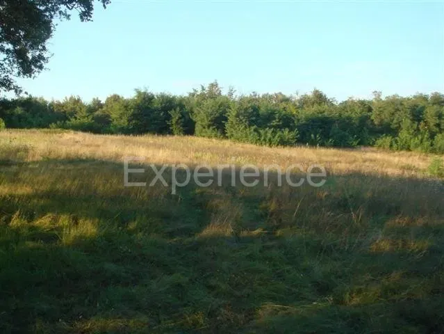Kaštelir, 11,981 m² Agricultural Land – Option to Expand – 2