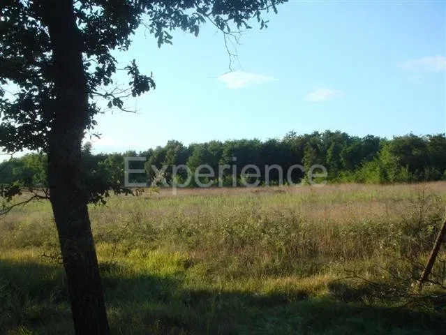 Kaštelir, 11,981 m² Agricultural Land – Option to Expand – 3