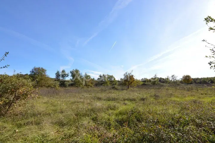 Pozemok Bačva – 3