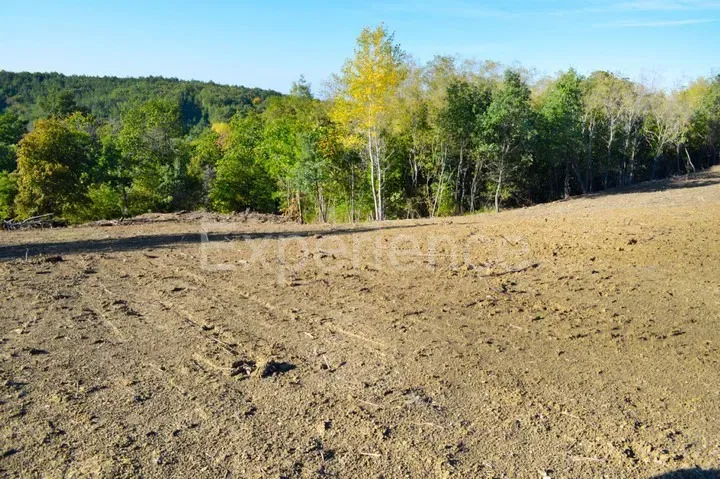 Motovun, 44,000 m² Estate with Building Land and Scenic View – 2