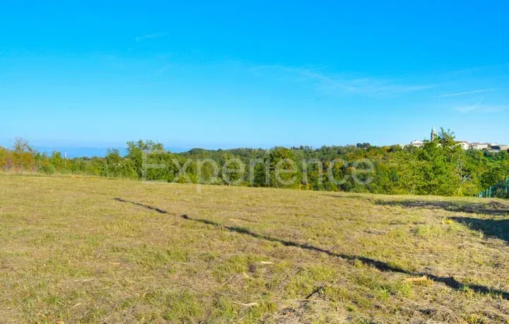 Motovun, 44,000 m² Estate with Building Land and Scenic View – 3