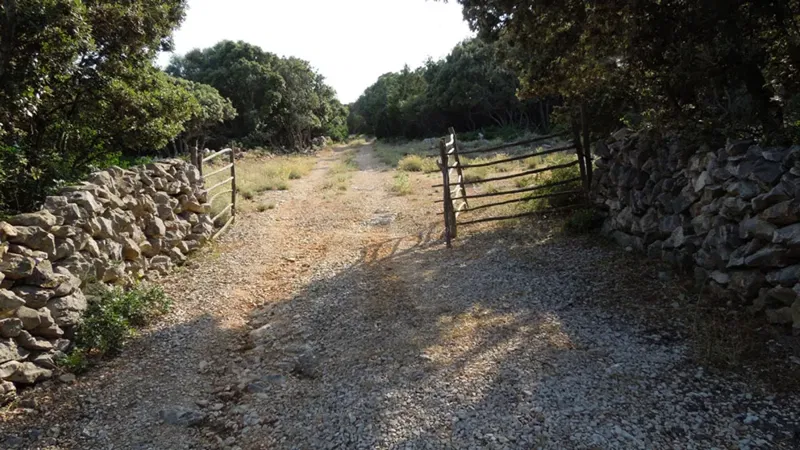 Punta Kriza, Island Cres - Land, 76133 m2 – 3