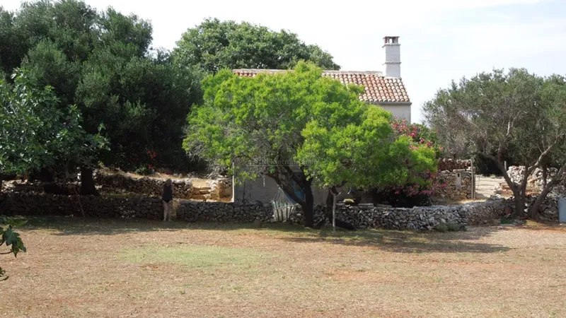 Punta Kriza, Island Cres - House, 60 m2 – 2