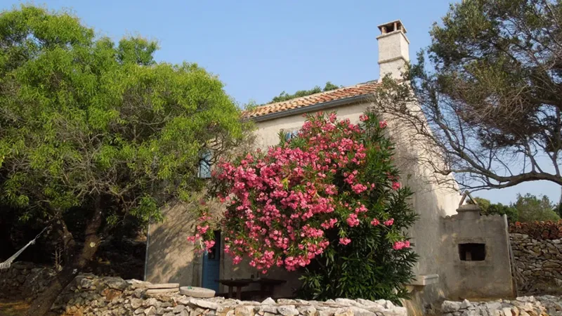 Punta Kriza, Island Cres - House, 60 m2 – 3