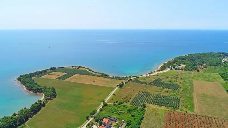 Telek Novigrad – 3