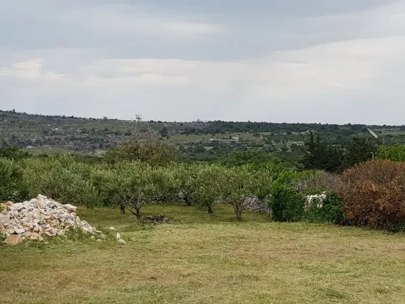 Terreno Brač – 3