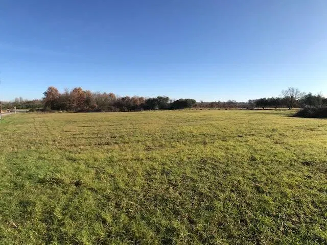 Building land in Brtonigla – 2