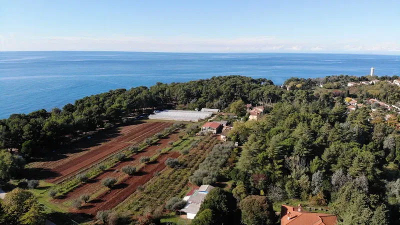 Telek Umag – 2