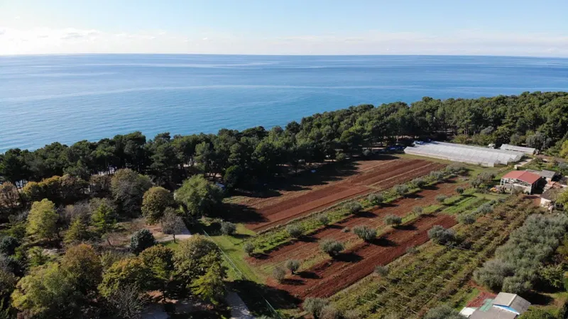 Telek Umag – 3