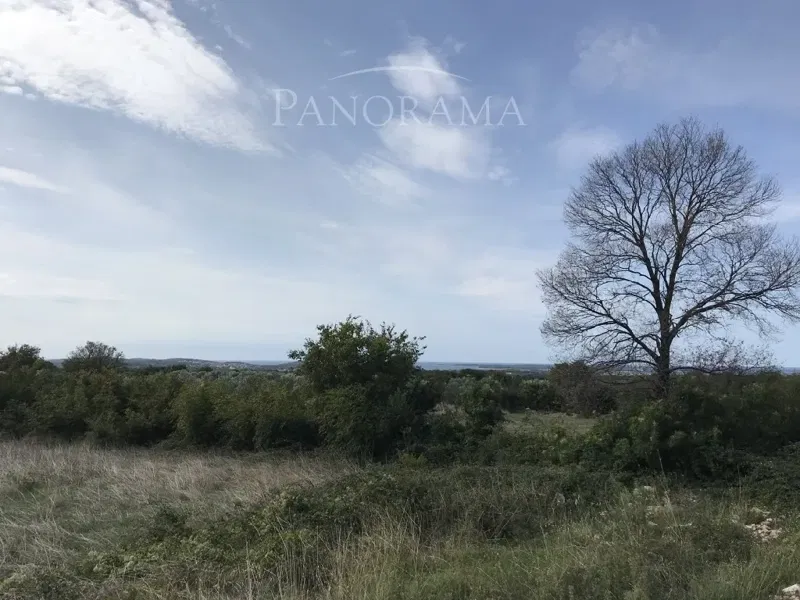 Telek Galižana