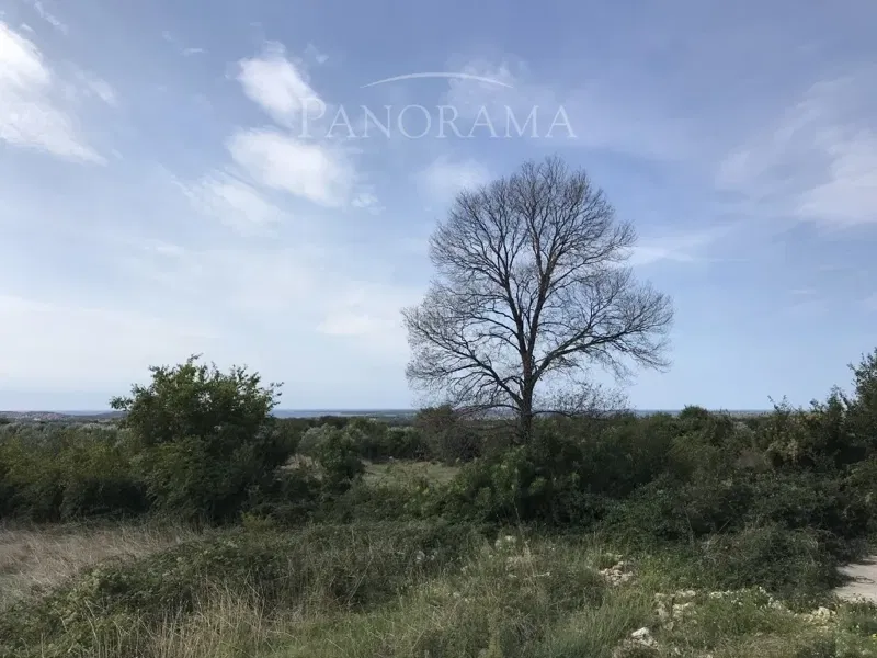 Land Galižana – 2