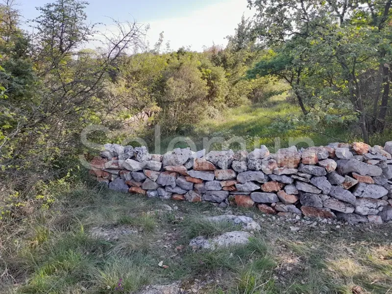 Land Rovinjsko Selo – 2