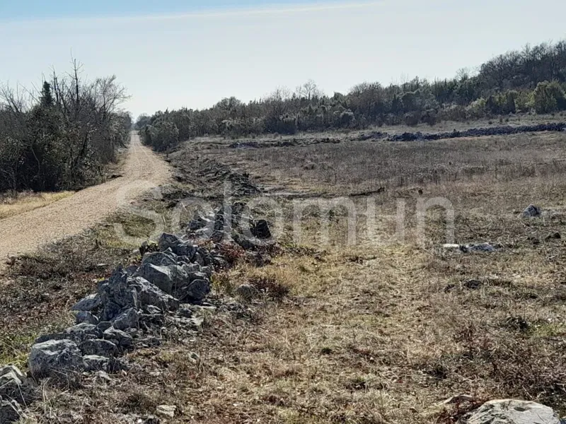 Land Rovinjsko Selo – 3