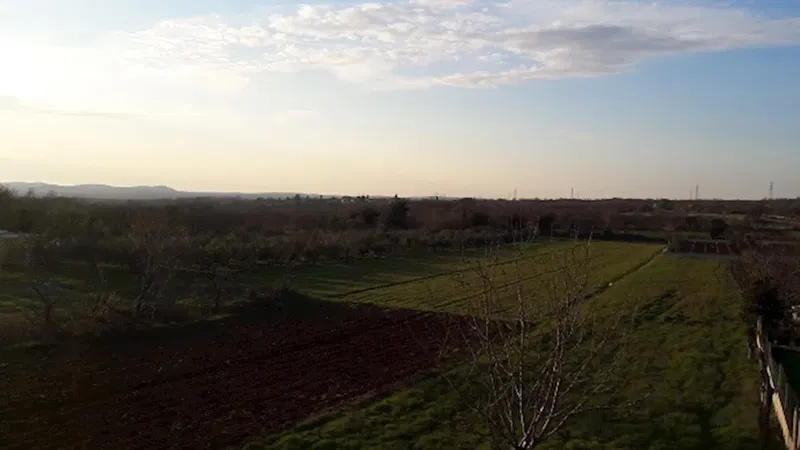 Land Raponji – 2