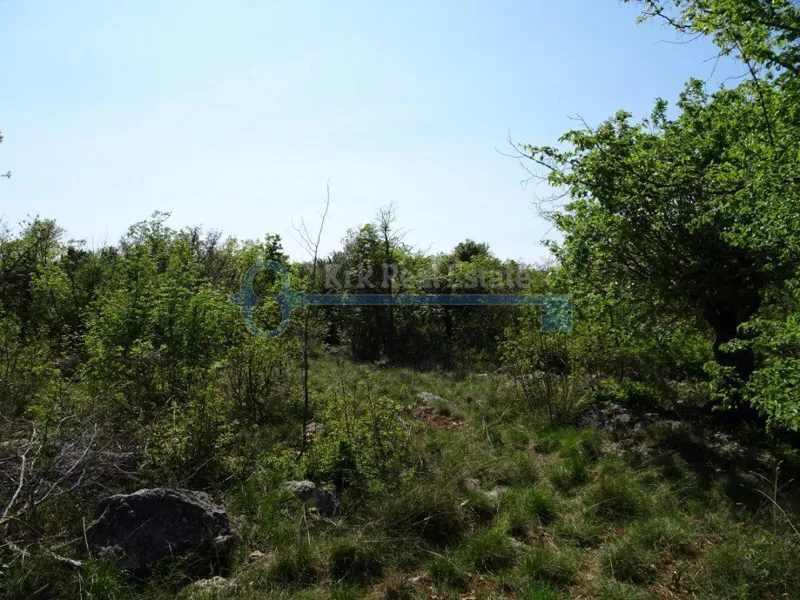 SKRBČIĆI - VELIKO POLJOPRIVREDNO ZEMLJIŠTE – 2
