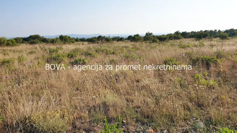 Agricultural land 11000 m2 in Vir, Zadar *500 m FROM BEACH* *SEA VIEW* – 3