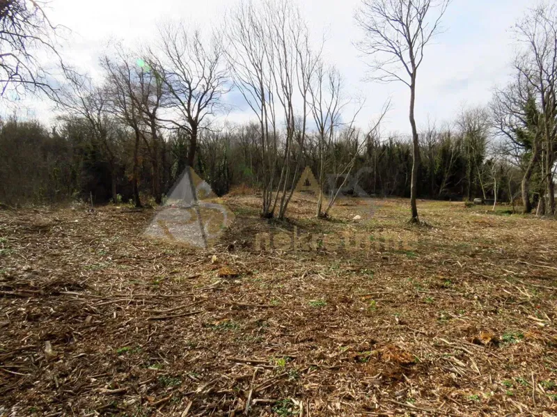 LARGE PLOT WITH NICE VIEW OF MOUNTAINS – 3