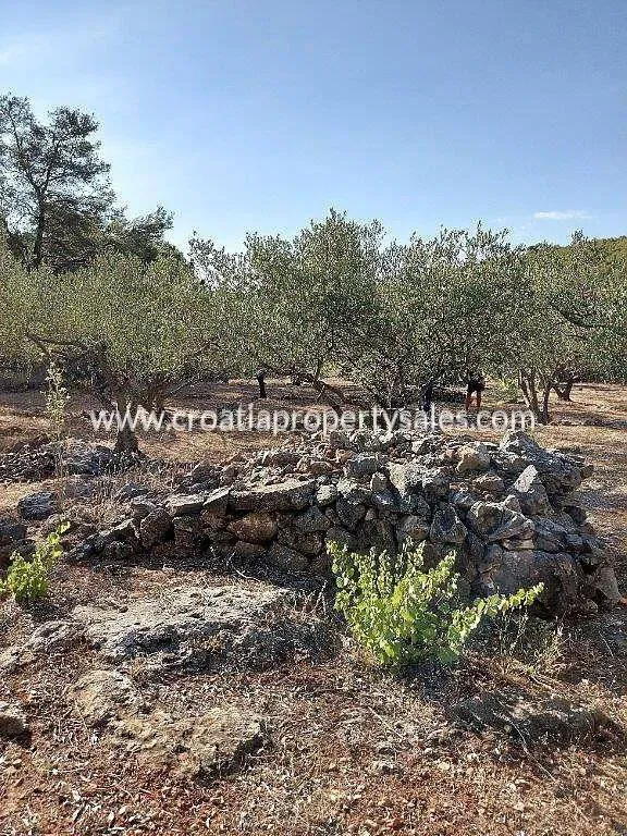 Vis, building land for sale, 150.000 € – 3