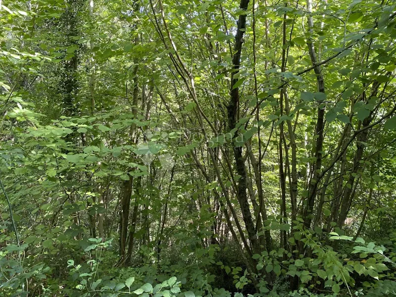 Föld Matulji, 2.095m2 – 2