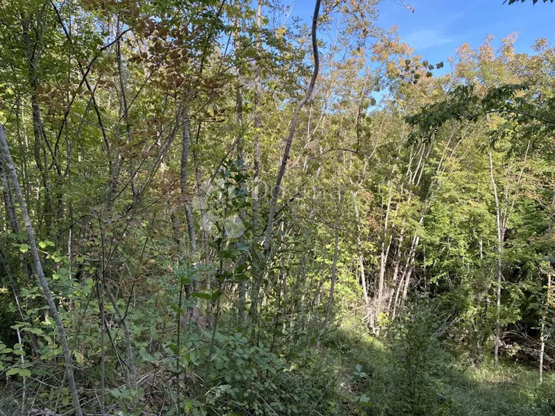 Föld Matulji, 2.095m2 – 3