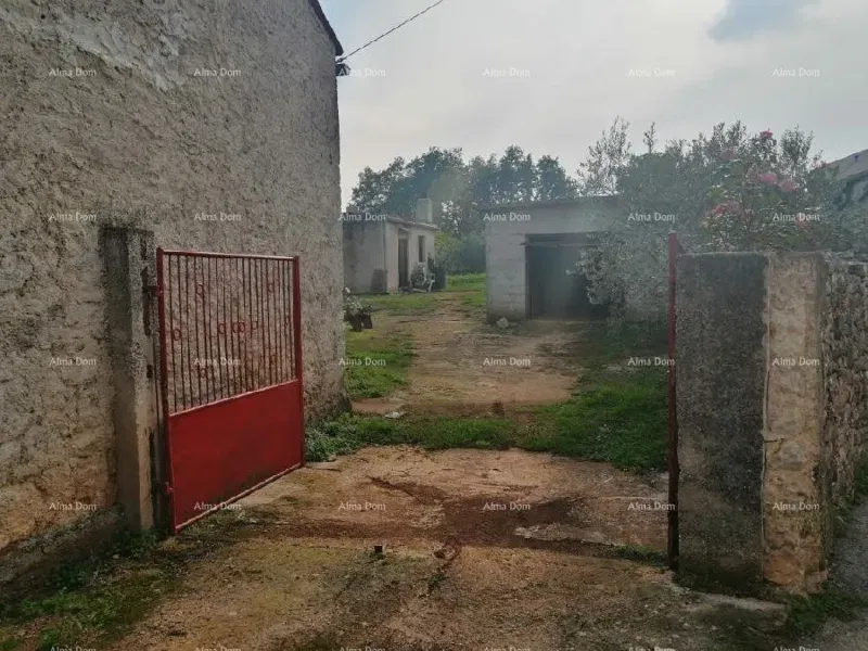 Marčana Vareški – 3