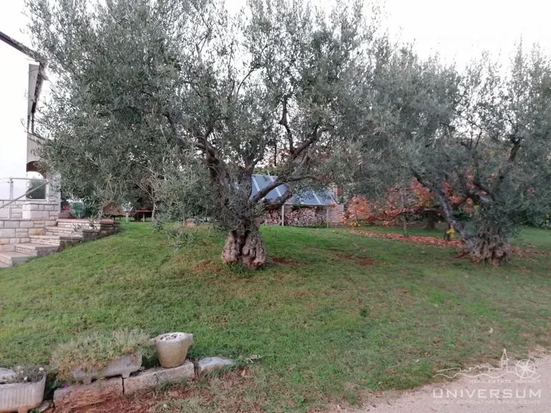 House in Zambratija – 2