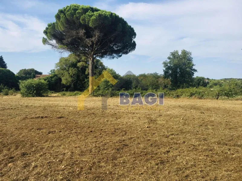 Poreč-Kaštelir large land for building several villas! – 3