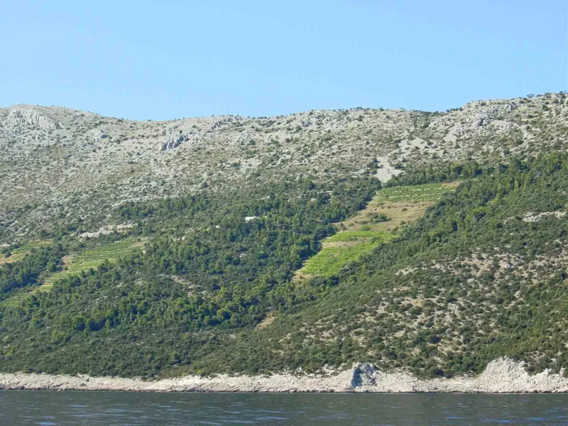 Terreno vigneto Dingac in vendita Potomje Peljesac Croazia – 3